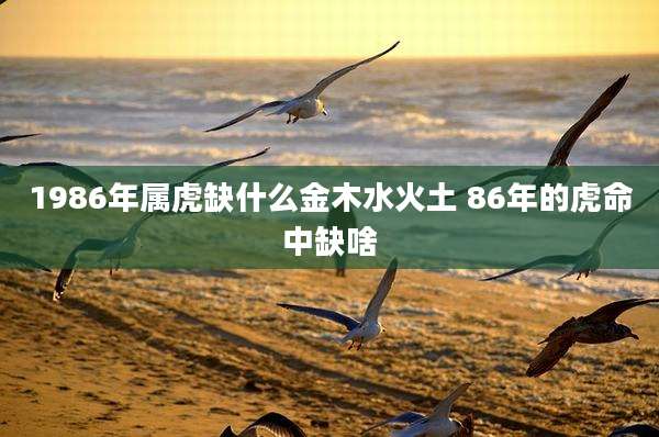 1986年属虎缺什么金木水火土 86年的虎命中缺啥