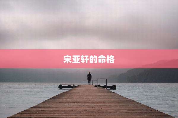 宋亚轩的命格