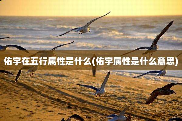 佑字在五行属性是什么(佑字属性是什么意思)