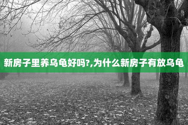 新房子里养乌龟好吗?,为什么新房子有放乌龟