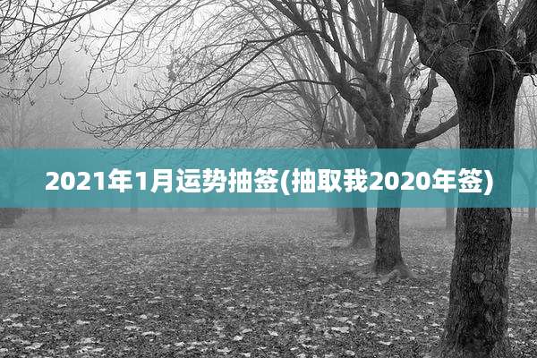 2021年1月运势抽签(抽取我2020年签)