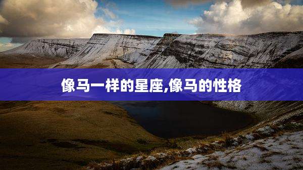 像马一样的星座,像马的性格