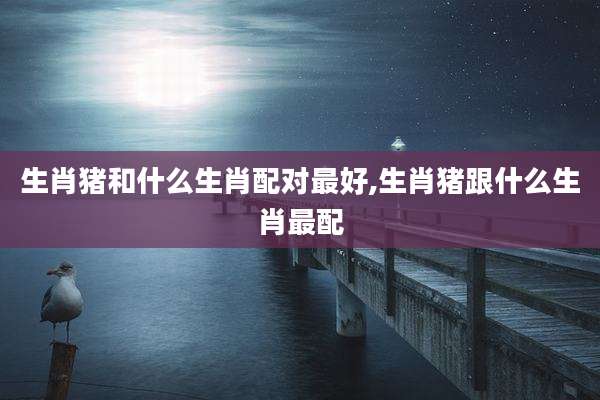 生肖猪和什么生肖配对最好,生肖猪跟什么生肖最配