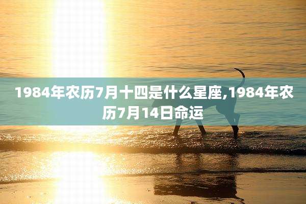 1984年农历7月十四是什么星座,1984年农历7月14日命运