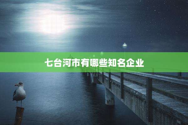 七台河市有哪些知名企业