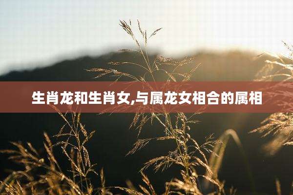 生肖龙和生肖女,与属龙女相合的属相