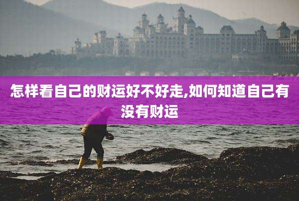 怎样看自己的财运好不好走,如何知道自己有没有财运