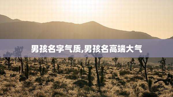 男孩名字气质,男孩名高端大气