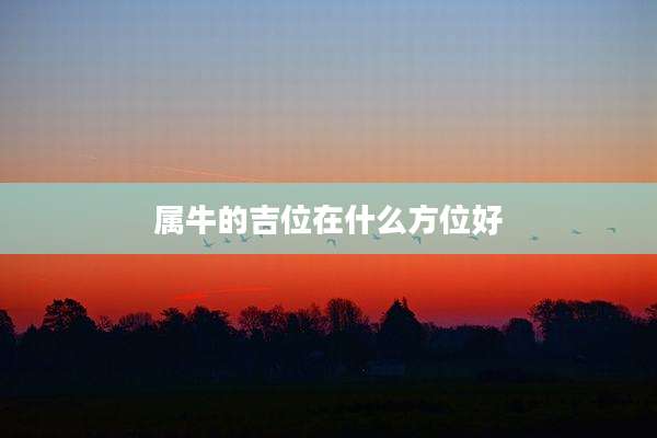 属牛的吉位在什么方位好