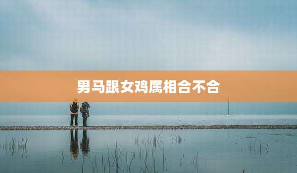 男马跟女鸡属相合不合