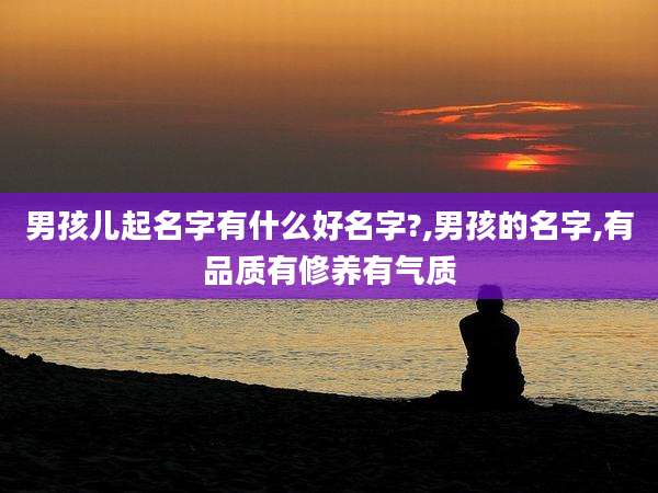 男孩儿起名字有什么好名字?,男孩的名字,有品质有修养有气质