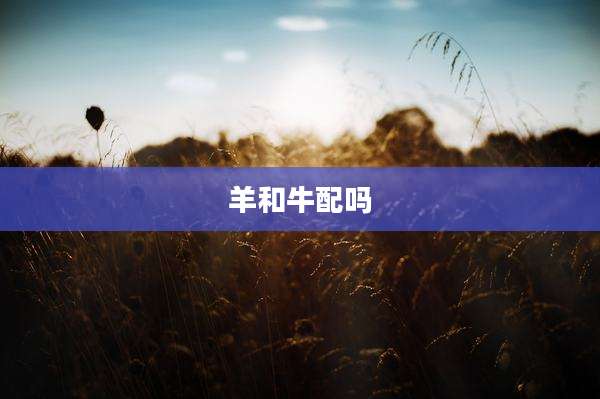 羊和牛配吗