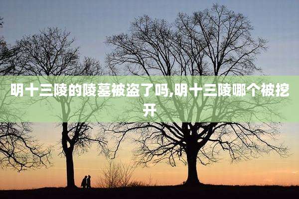 明十三陵的陵墓被盗了吗,明十三陵哪个被挖开
