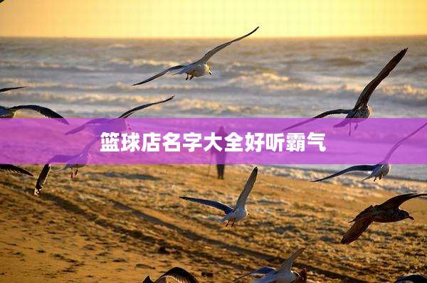 篮球店名字大全好听霸气