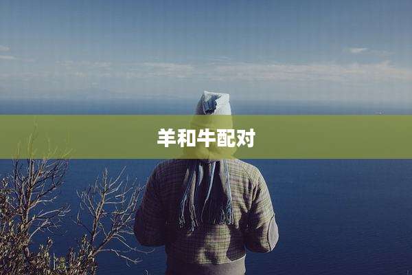 羊和牛配对