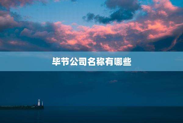毕节公司名称有哪些