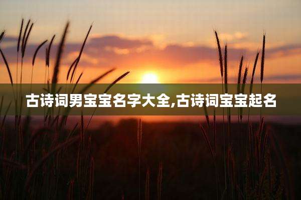 古诗词男宝宝名字大全,古诗词宝宝起名