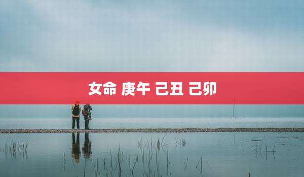 女命 庚午 己丑 己卯