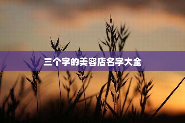 三个字的美容店名字大全
