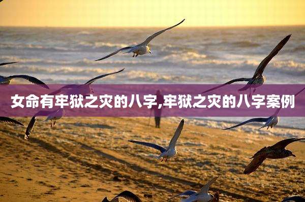 女命有牢狱之灾的八字,牢狱之灾的八字案例