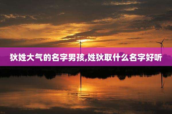 狄姓大气的名字男孩,姓狄取什么名字好听