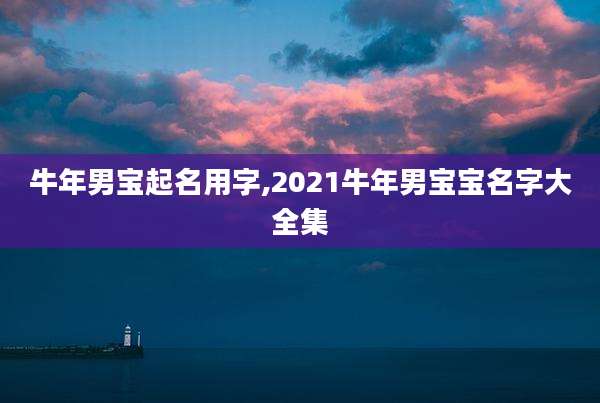 牛年男宝起名用字,2021牛年男宝宝名字大全集