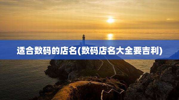 适合数码的店名(数码店名大全要吉利)