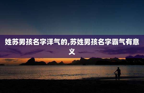 姓苏男孩名字洋气的,苏姓男孩名字霸气有意义