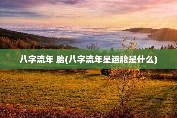 八字流年 胎(八字流年星运胎是什么)