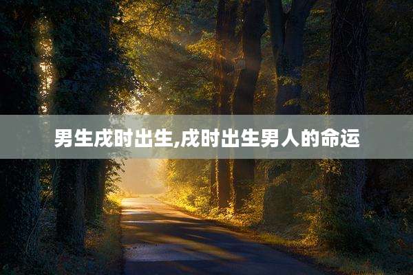 男生戌时出生,戌时出生男人的命运