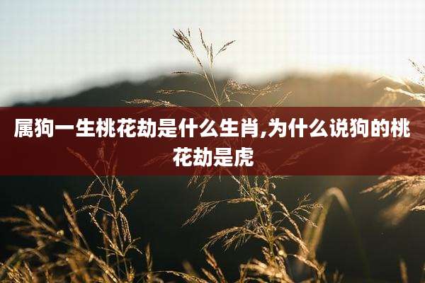 属狗一生桃花劫是什么生肖,为什么说狗的桃花劫是虎
