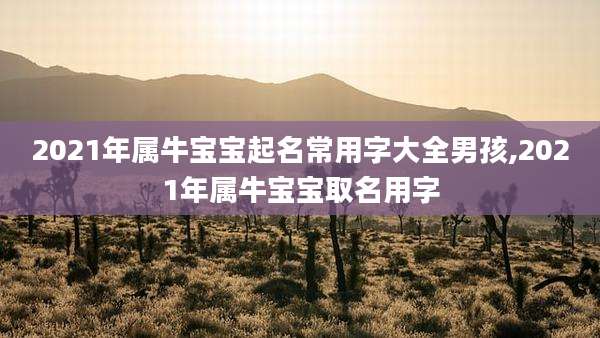 2021年属牛宝宝起名常用字大全男孩,2021年属牛宝宝取名用字
