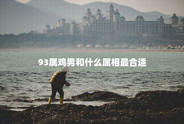 93属鸡男和什么属相最合适
