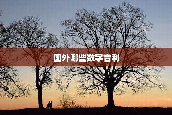 国外哪些数字吉利