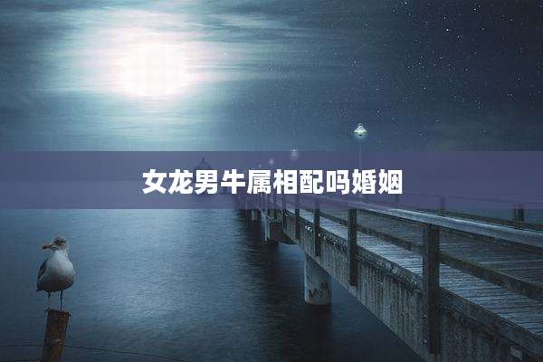 女龙男牛属相配吗婚姻
