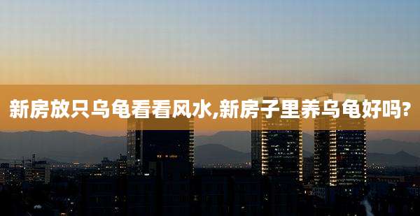 新房放只乌龟看看风水,新房子里养乌龟好吗?