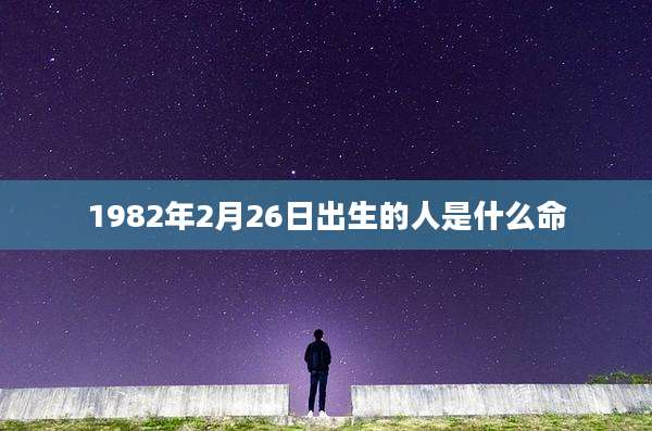1982年2月26日出生的人是什么命