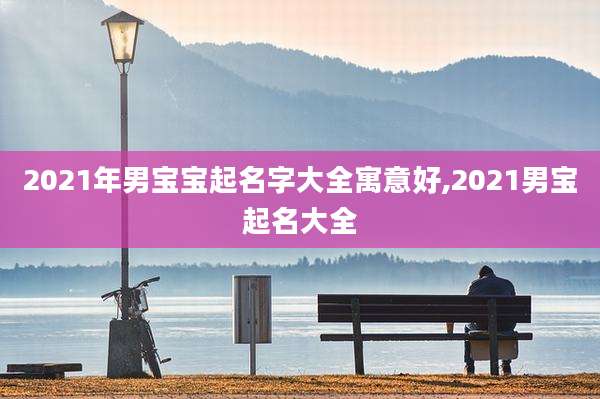 2021年男宝宝起名字大全寓意好,2021男宝起名大全