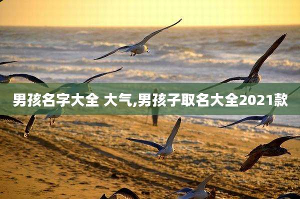 男孩名字大全 大气,男孩子取名大全2021款