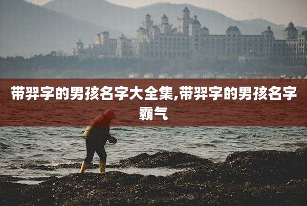带羿字的男孩名字大全集,带羿字的男孩名字霸气