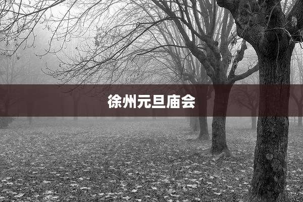 徐州元旦庙会