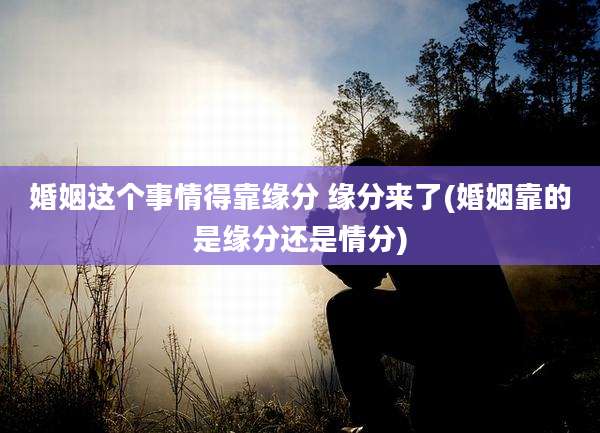 婚姻这个事情得靠缘分 缘分来了(婚姻靠的是缘分还是情分)
