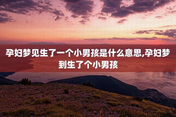 孕妇梦见生了一个小男孩是什么意思,孕妇梦到生了个小男孩