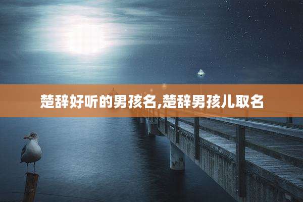 楚辞好听的男孩名,楚辞男孩儿取名