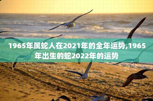 1965年属蛇人在2021年的全年运势,1965年出生的蛇2022年的运势