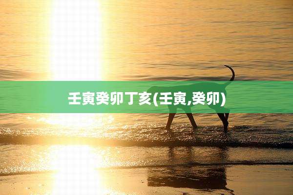 壬寅癸卯丁亥(壬寅,癸卯)