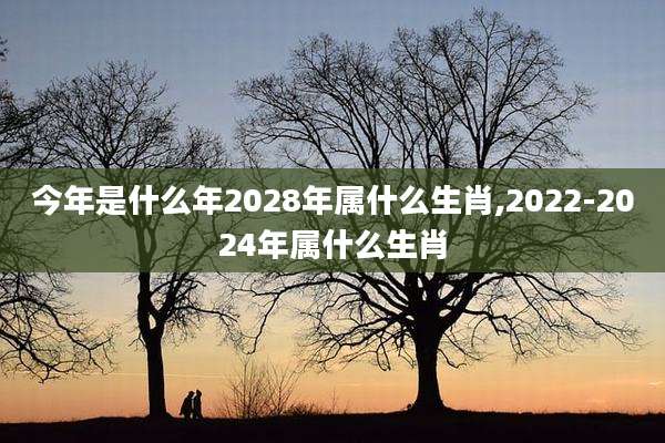 今年是什么年2028年属什么生肖,2022-2024年属什么生肖