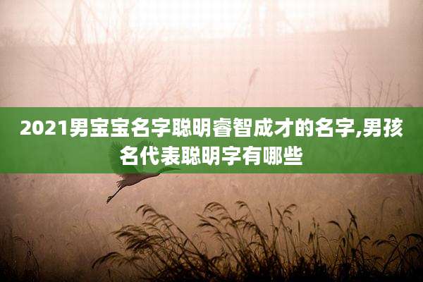 2021男宝宝名字聪明睿智成才的名字,男孩名代表聪明字有哪些