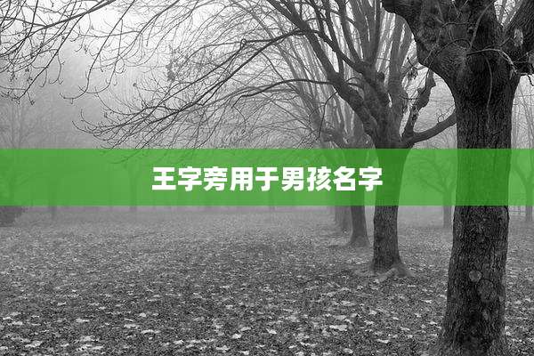 王字旁用于男孩名字