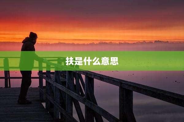 扶是什么意思